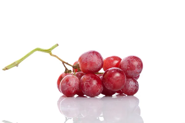 Färska röda druvor — Stockfoto