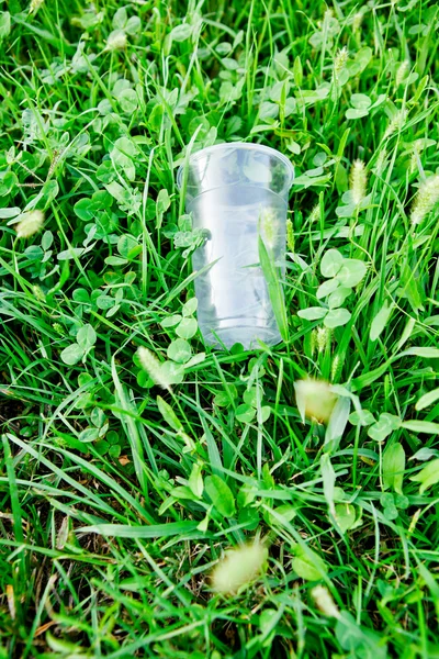 stock image Plastic glass on a green grass