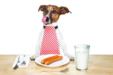 Dog at table clipart