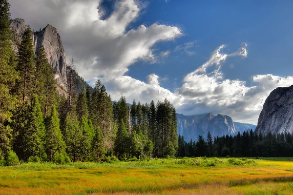 In het Nationaal Park Yosemite, — Stockfoto