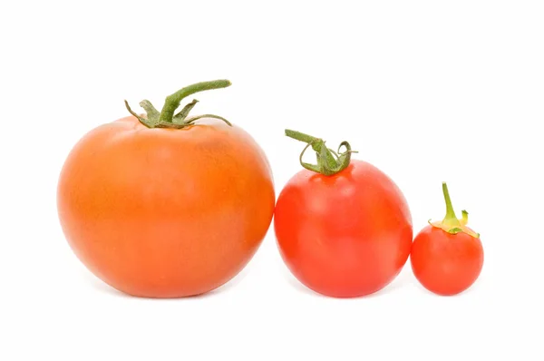 stock image Fresh tomatoes