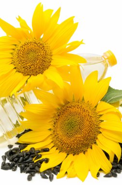 Sunflower oil clipart