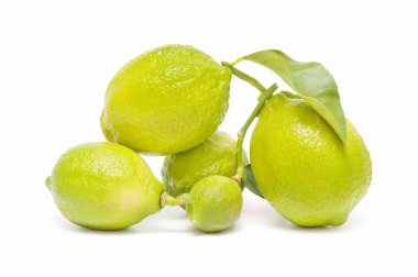 taze limon