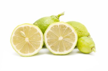 taze limon