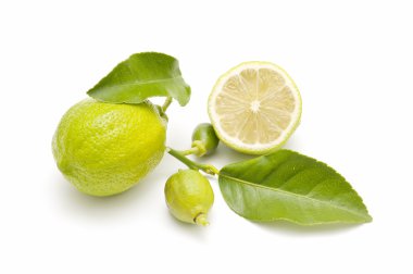 taze limon