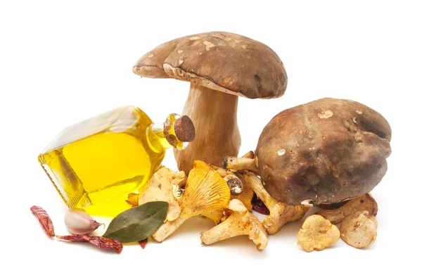 Cogumelos e óleo — Fotografia de Stock