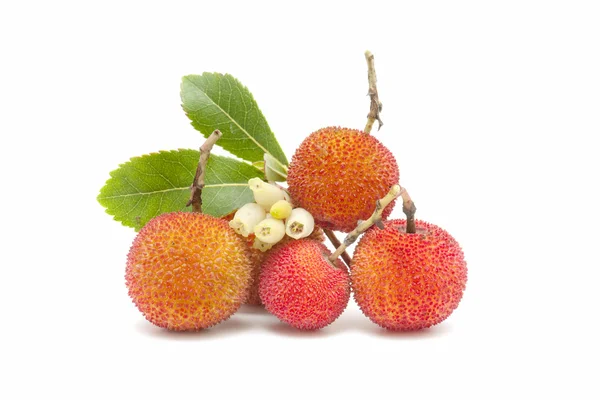 Erdbeerbaum — Stockfoto