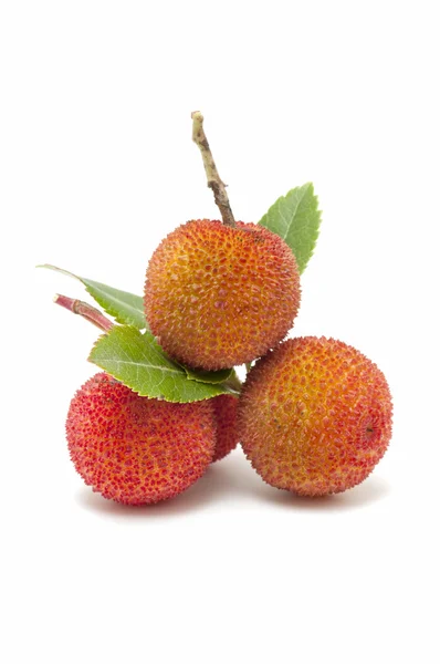 Erdbeerbaum — Stockfoto