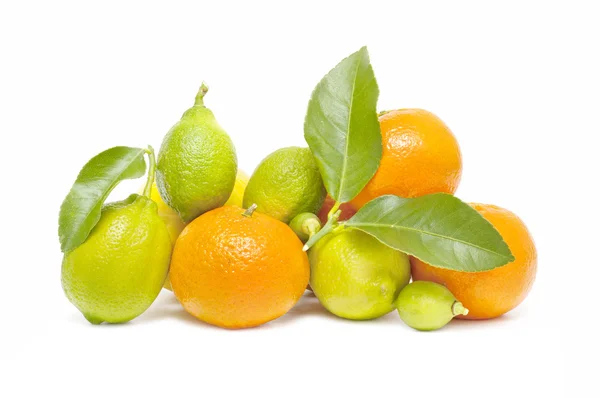 Frische Orange und Zitrone isoliert auf weißem Hintergrund — Stockfoto