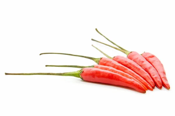 Pikantní paprika — Stock fotografie