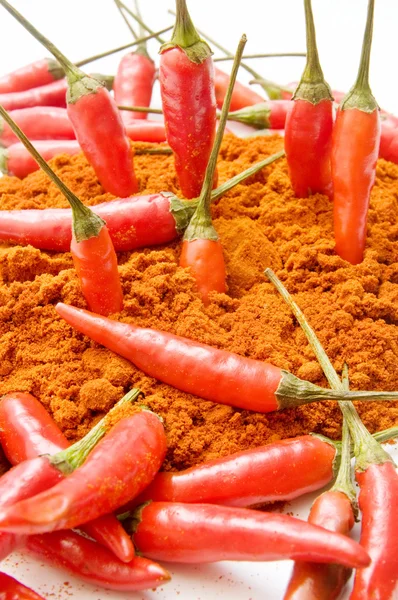 Kryddig paprika — Stockfoto