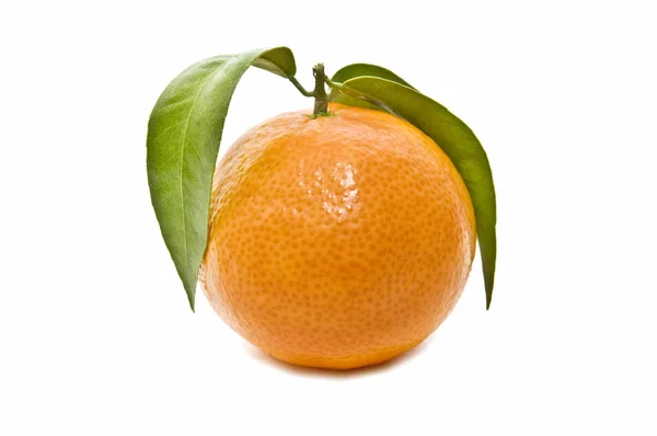 Свежий апельсин — стоковое фото