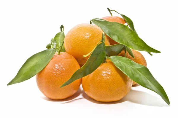 Färska apelsiner — Stockfoto
