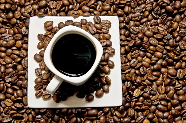 Wybór kawy — Zdjęcie stockowe