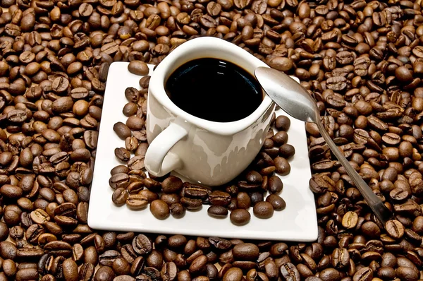 Вибір кави — стокове фото