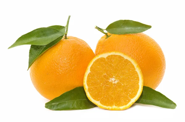 Fresh oranges — Stock Photo, Image