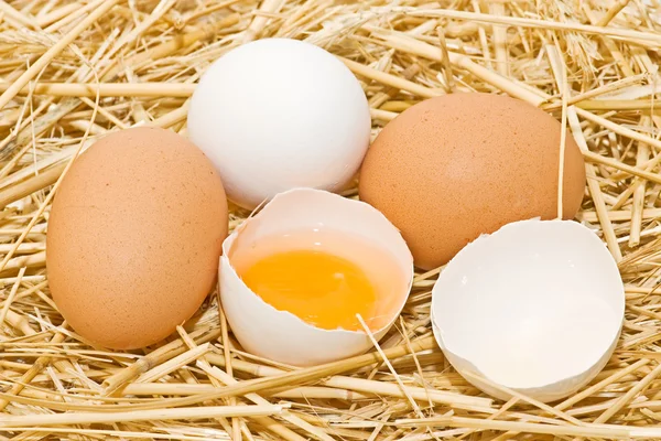 Čerstvá vejce — Stock fotografie