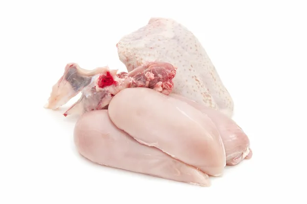 stock image Chicken