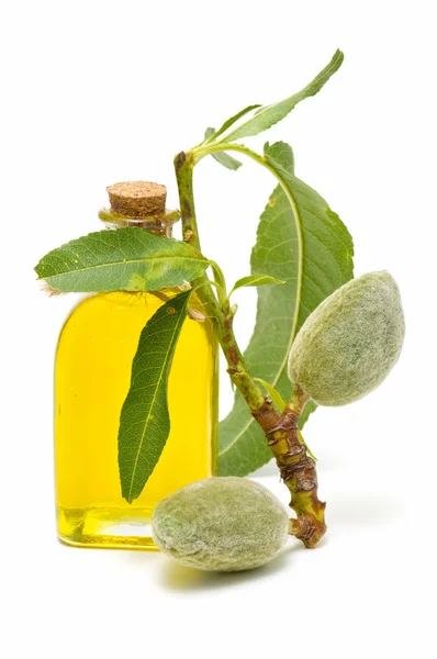 Almond oil — Stock Photo, Image