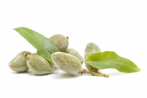 Green almonds — Stock Photo, Image