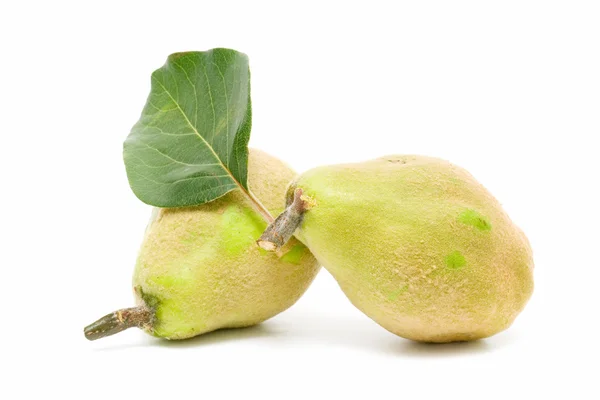 stock image Fresh quince