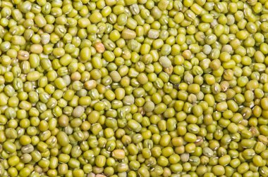 Newly harvested soybeans clipart