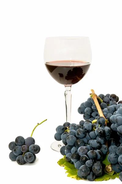 葡萄酒的静物 — 图库照片
