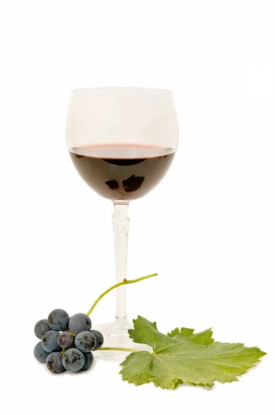 Zátiší vína — Stock fotografie