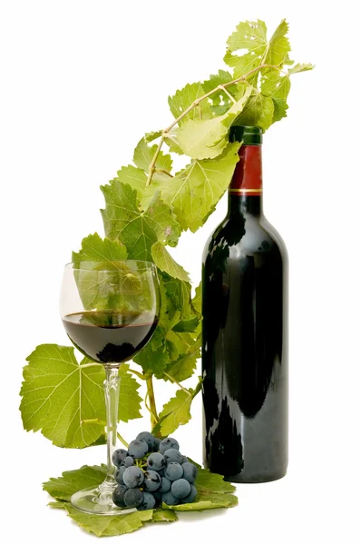 Ainda vida de vinho — Fotografia de Stock