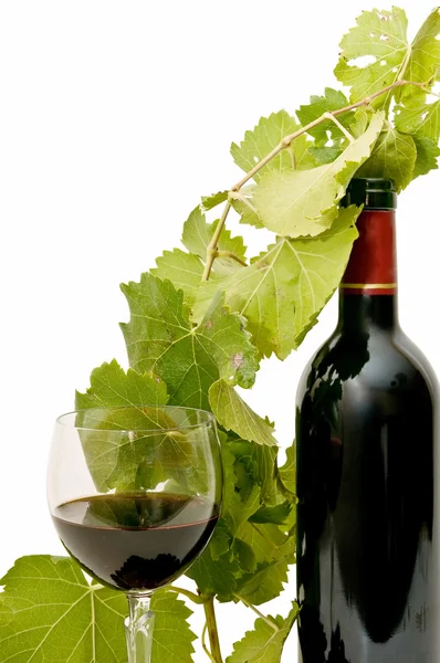 Still life of wine — Stock Photo, Image
