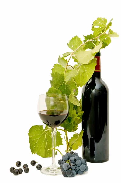 Bodegón de vino — Foto de Stock