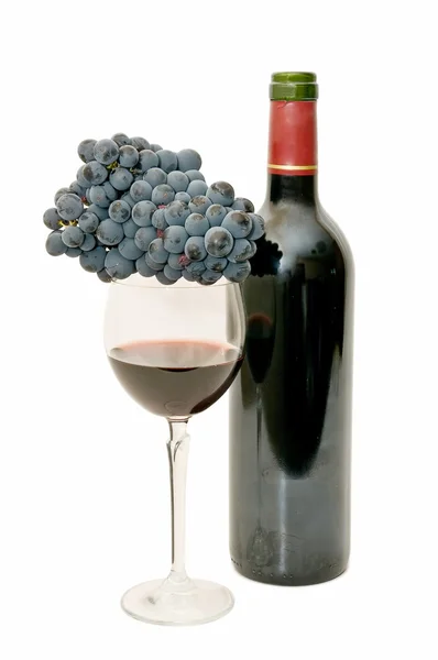 Still life of wine — Stock Photo, Image