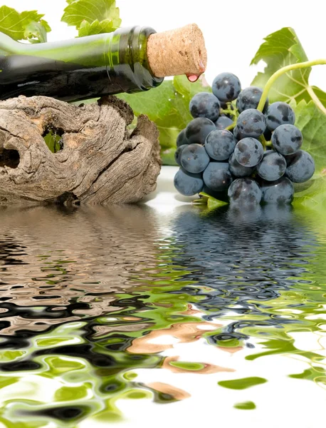 Natürmort şarap — Stok fotoğraf