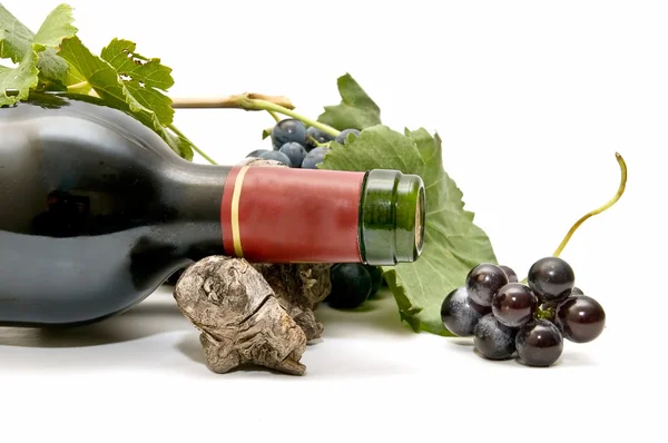 Martwa natura z wina — Zdjęcie stockowe