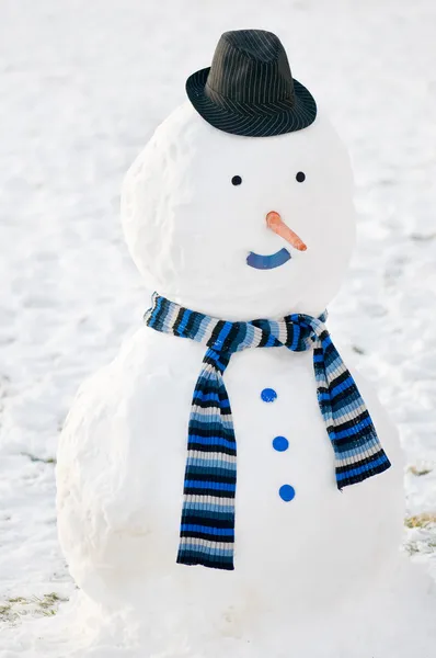 stock image Snowman