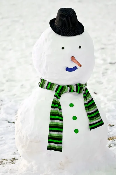 stock image Snowman