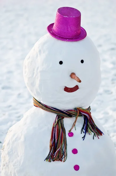 306 Melting Snowman Stock Photos, High-Res Pictures, and Images - Getty  Images