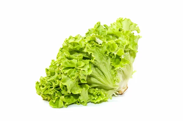 Экологический салат — стоковое фото