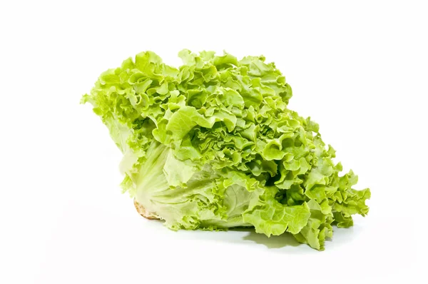 Salat ökologisch — Stockfoto