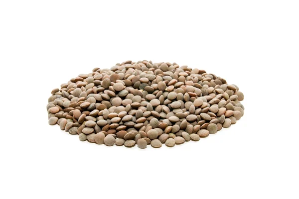 生態学的なレンズ豆 — ストック写真