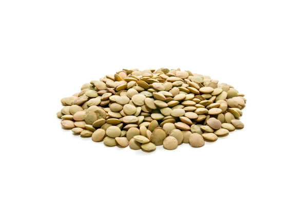 生態学的なレンズ豆 — ストック写真