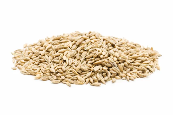 新鲜收获的大麦 — 图库照片