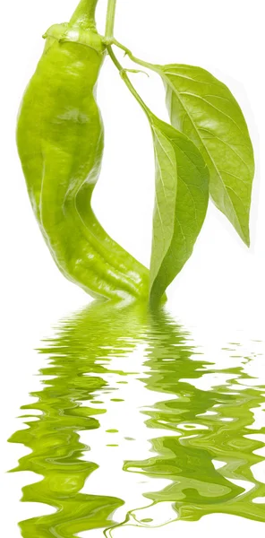 Ardei verde — Fotografie, imagine de stoc
