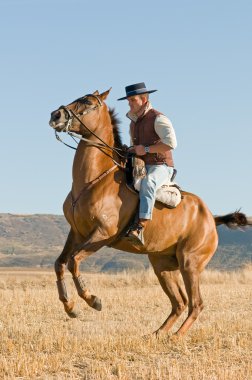 Rider and his horse