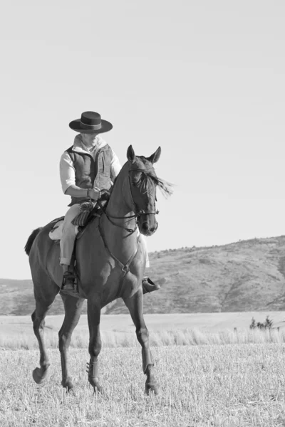 Jeźdźca i konia — Zdjęcie stockowe