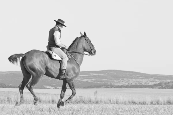 骑士和他的马 — 图库照片