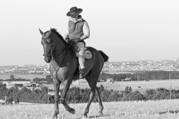 Jinete y su caballo — Foto de Stock