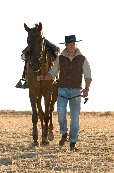 Jezdcem a koněm — Stock fotografie
