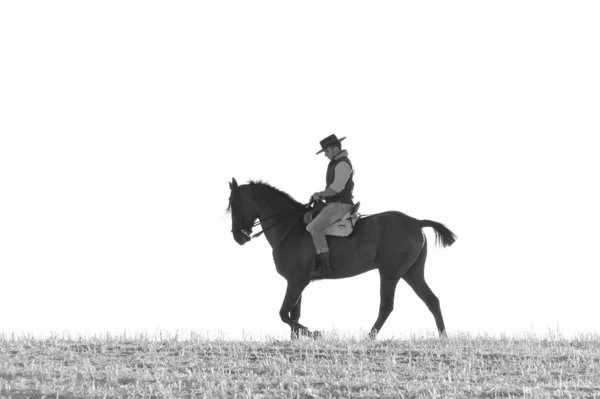 Rider and his horse — Stock Photo, Image