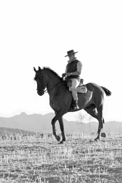 Jinete y su caballo —  Fotos de Stock